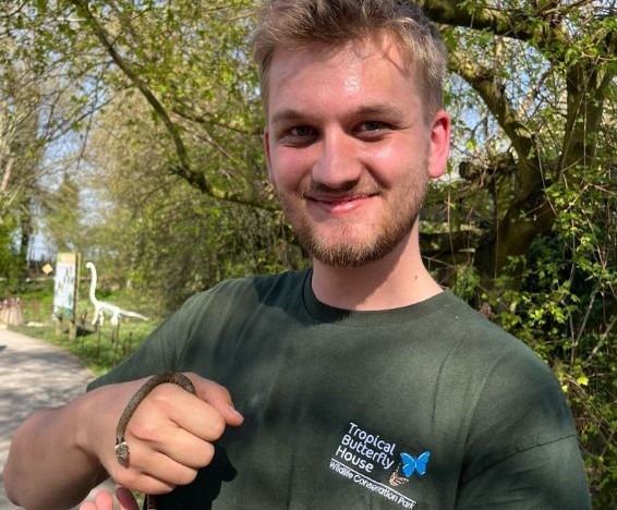 Welcoming Archie to the Team! article image